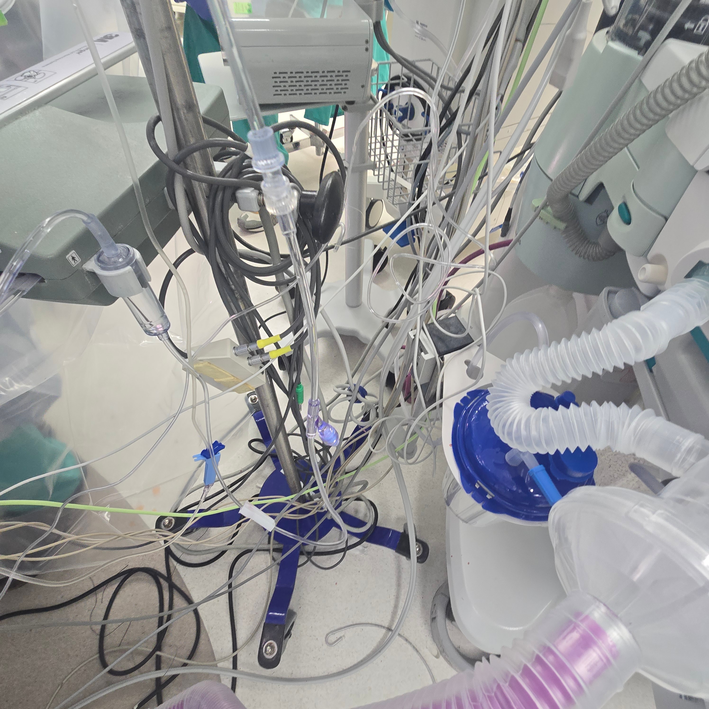 Tangled Lines & Cords — field photo 4