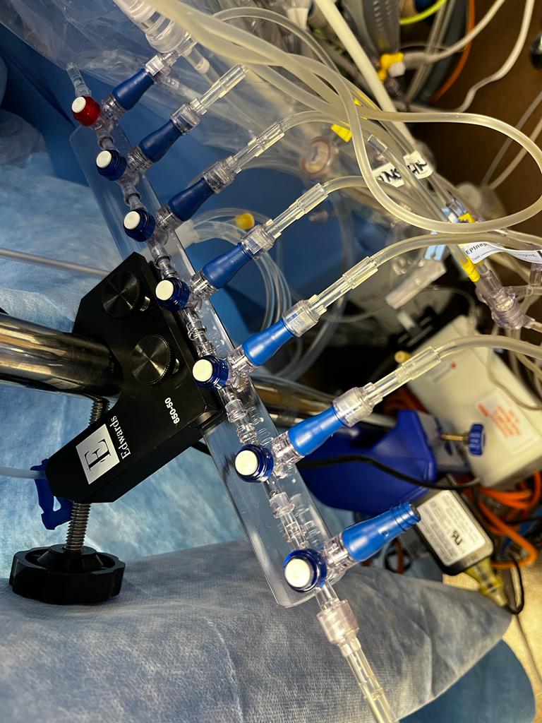 Manifold Stability & Line Organization — field photo 2